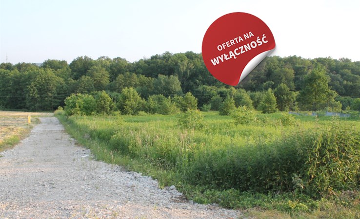 земельный-участок на продажу - Mogilany, Libertów, Południowa